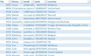 excel database example